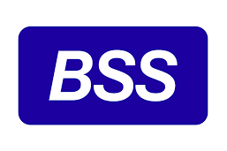 Компания BSS добилась наилучшего качества распознавания казахского языка