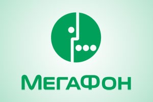 4G от МегаФона впервые пришел в деревни на востоке Вологодчины
